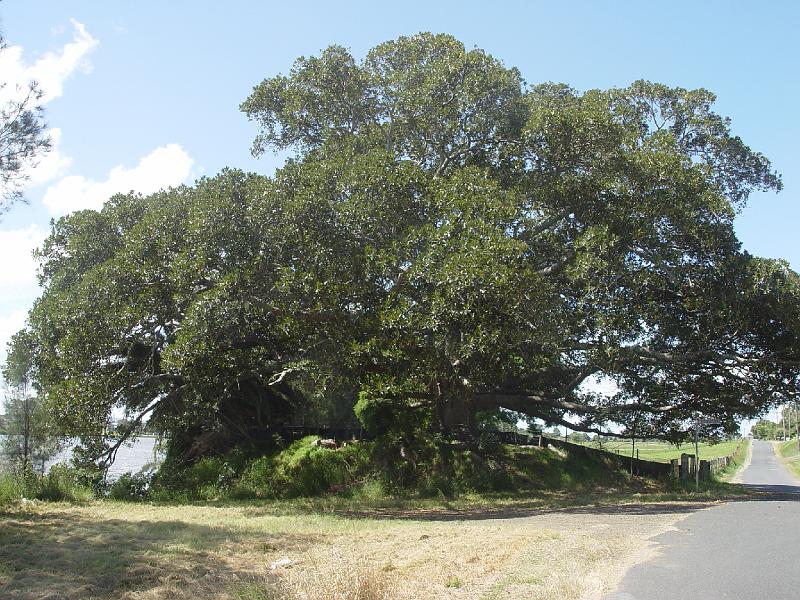 martin-bridge 034.jpg